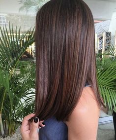 the back of a woman's head with long, straight hair and dark brown highlights