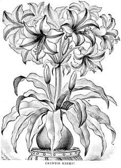 a drawing of a flower in a pot