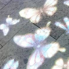 the sun is shining through butterflies on the ground