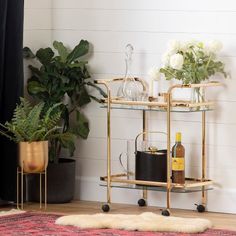 a gold bar cart with drinks on it next to a rug and potted plants