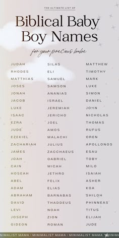 the biblical baby boy names poster