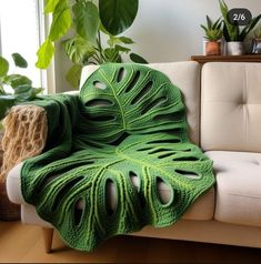 a couch with a green blanket on top of it next to a potted plant