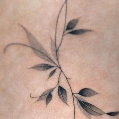 the back of a woman's stomach with leaves on it