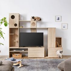 a cat sitting on top of a tv stand in a living room next to a couch