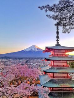 the view of mount fuji in the distance with cherry blossoms on trees and buildings around it