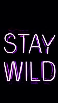 a neon sign that says stay wild in purple light on a black background with the words'stay wild '