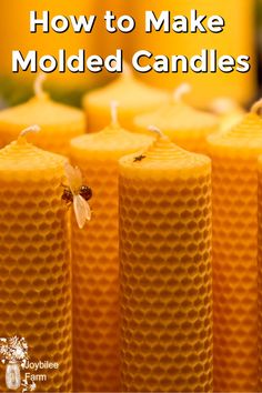 bees sitting on top of candles with the words how to make molded candles