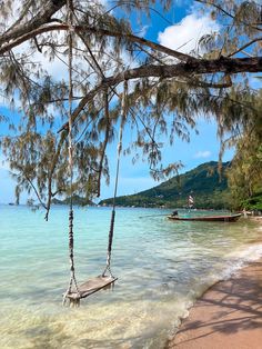 a hammock hanging from a tree on the beach