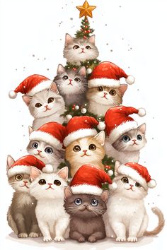 Kitty Christmas Pictures, Journal Friends, Happy Day Quotes, Christmas Scenery, Christmas Kitten