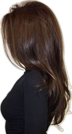 Long Layered Brunette Hair, Long Layered Brunette, Layered Brunette Hair, Old Money Couple, Money Couple, Couple Lifestyle, Brunette Girl, How To Manifest, Brunette Hair