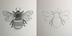 two drawings of bees on white paper