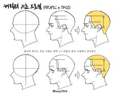 an image of the face and head of a man with different facial types in korean