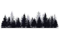 a black and white forest scene with trees silhouetted against the foggy sky, on an overcast day