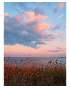 the sky is pink and blue with some clouds above it in front of an ocean