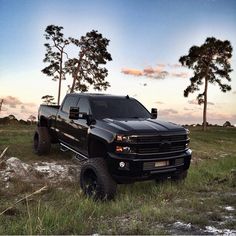 a black truck parked in the middle of a field