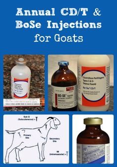 the cover of an annual cd and bottle injections for goats, including two bottles with labels on them