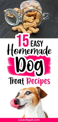 dog treats are the best treat for dogs to eat and they can be made in minutes