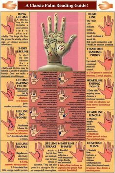 Palm Lines, Magia Das Ervas, Palm Reading, Fortune Telling, Reflexology, Spell Book, The Palm, Book Of Shadows