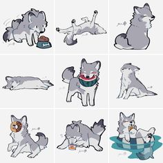 some drawings of dogs in different poses