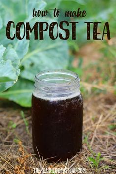 a mason jar filled with compost tea sitting on the ground next to some plants