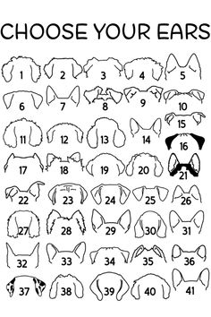 the numbers for dogs that are numbered in black and white, with an image of their ears