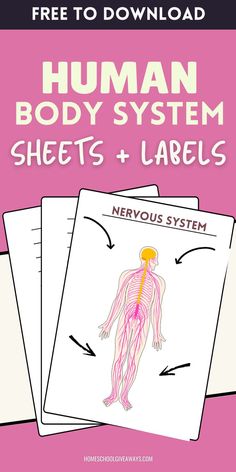 the human body system worksheets and labels are shown in this free printable