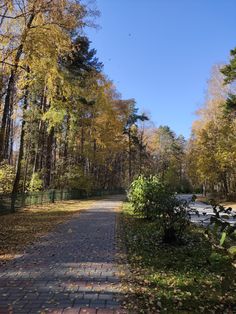 a brick path in the middle of a park with lots of trees and leaves on it