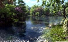 a river running through a lush green forest