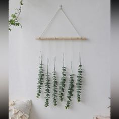 some plants hanging from a wall in a room