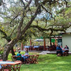 people are sitting at tables under the shade of trees in an open area with picnic tables and chairs