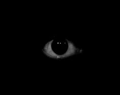 an animal's eye is shown in the dark