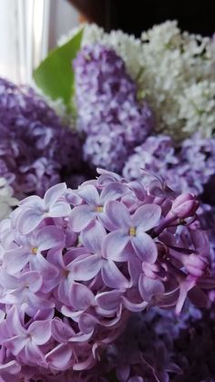 purple and white flowers are in a vase