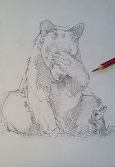 a pencil drawing of a fox and its cub