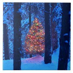 a brightly lit christmas tree in the middle of a snowy forest with snow on the ground