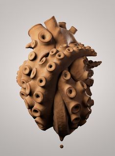 an image of a human heart made out of doughnuts on a gray background