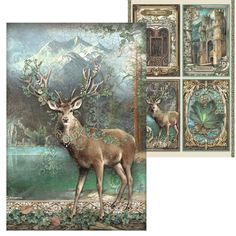 the deer is standing in front of four paintings