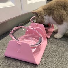 a cat drinking water out of a pink bowl