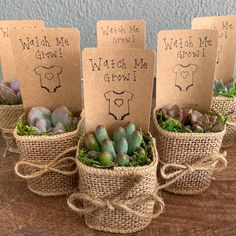 four small pots with succulents in them on a table