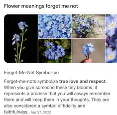 the flowers are blue in color and have many different pictures on them, including one that says flower meaningss forget not symbolism