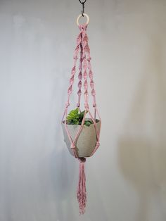 a hanging planter with a succulent in it and a pink rope around the bottom