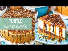 a collage of different cakes and desserts with the words turtle cheesecake on top