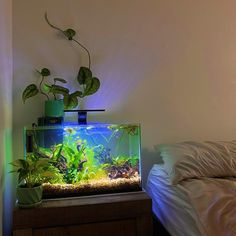 a fish tank with plants in it sitting on top of a nightstand next to a bed