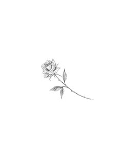 Simple Rose Tattoo, Small Rose Tattoo, Tattoo Prices, Skeleton Hand Tattoo, Tatuaje A Color, Rose Tattoo Design, Head Tattoos, Single Rose, Wrist Tattoo