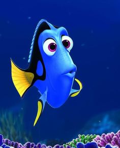 a blue and yellow fish with big eyes swimming over corals in the ocean water