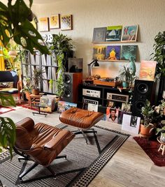 a living room filled with lots of plants and furniture