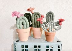 three potted cactus plants sitting on top of a blue table next to a white wall