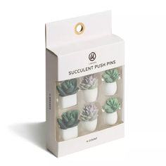 six succulent push pins in a white box