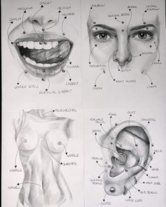 four different views of the human body and their functions in each part of the face