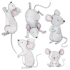 four white mouses with pink ears and tails, all facing different directions to the same direction