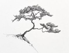 a black and white photo of a bonsai tree